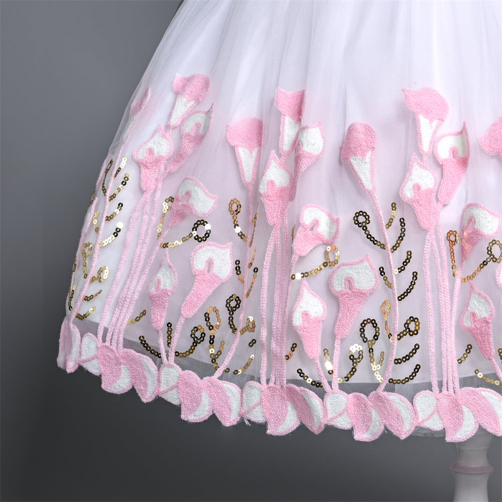 CC-369 Girls' Short Sleeve Floral Embroidery Design Dress Ball Gown Baby Girls Dress Summer Girls Party Dress Princess Costumes